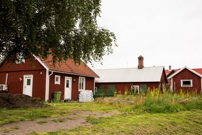 Kyrkogård